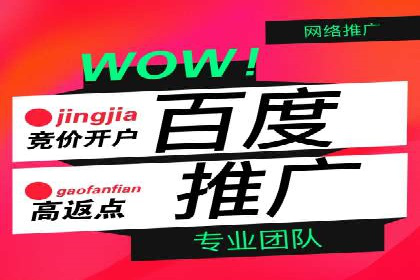 SEM竞价代运营公司经典案例解析
