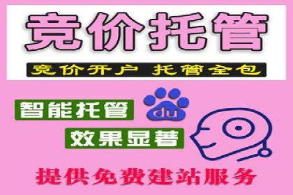 探索百度SEM竞价推广的奥秘：某行业巨头的成功经验